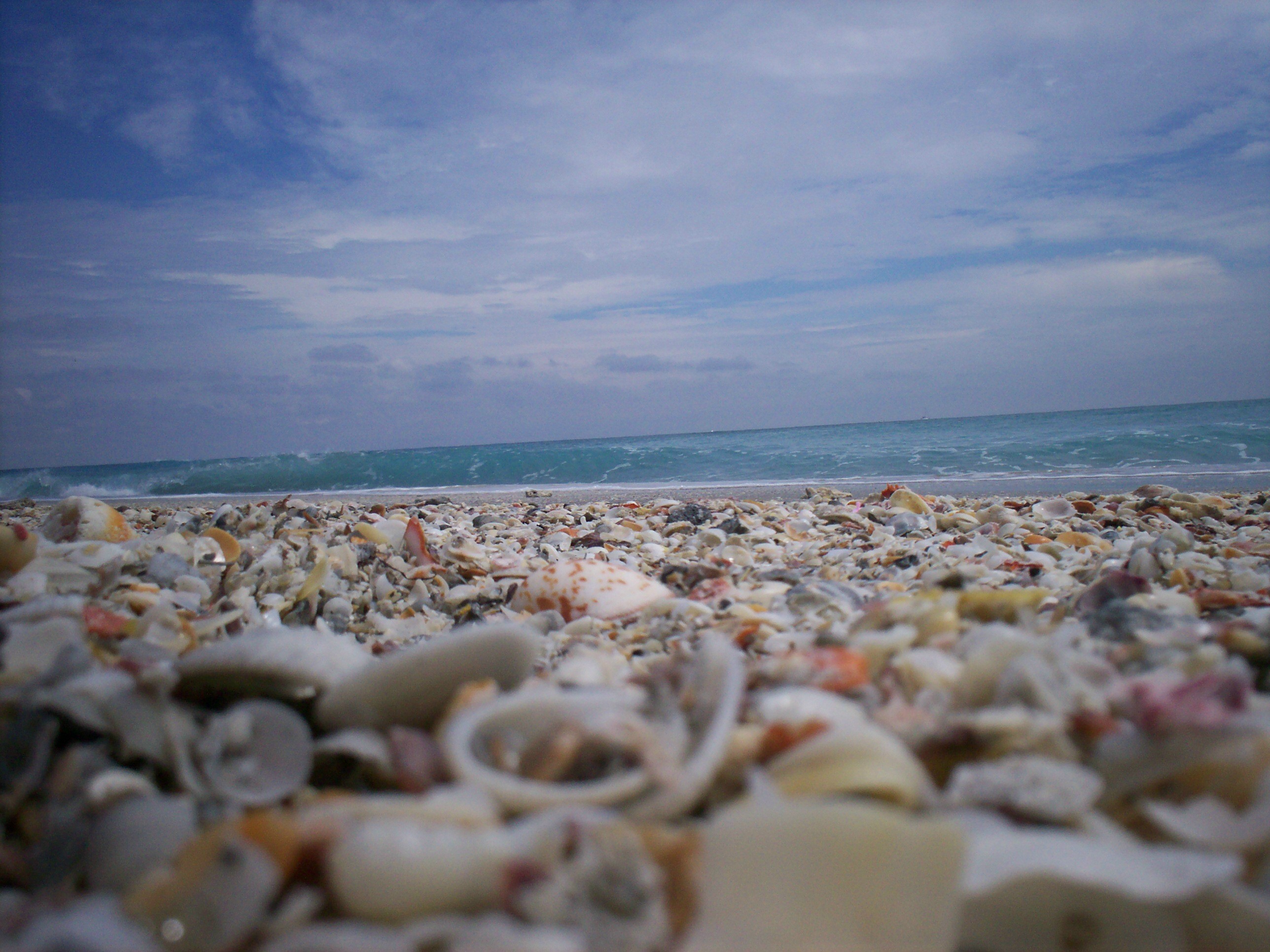 beachcoveralbum.jpg