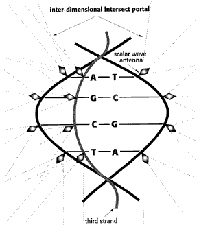 dna1.gif