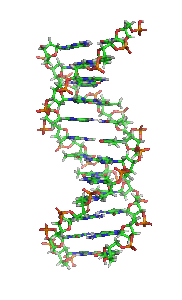 dna_orbit_animated_small.gif