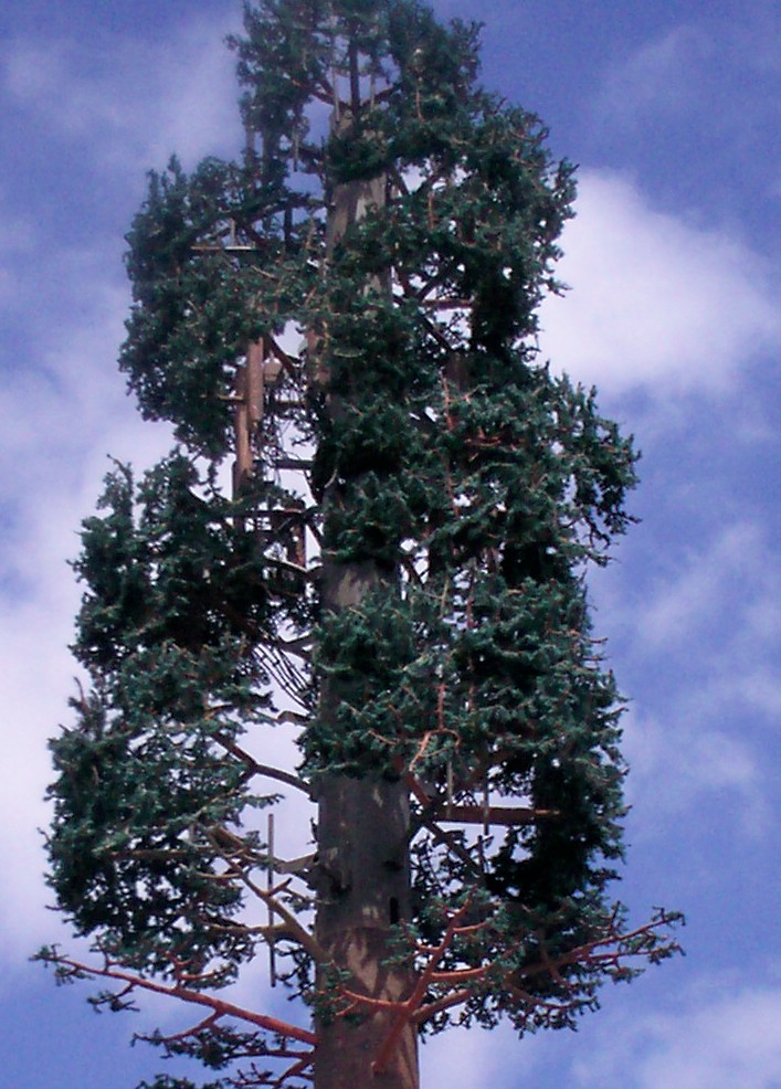 elftower2.jpg