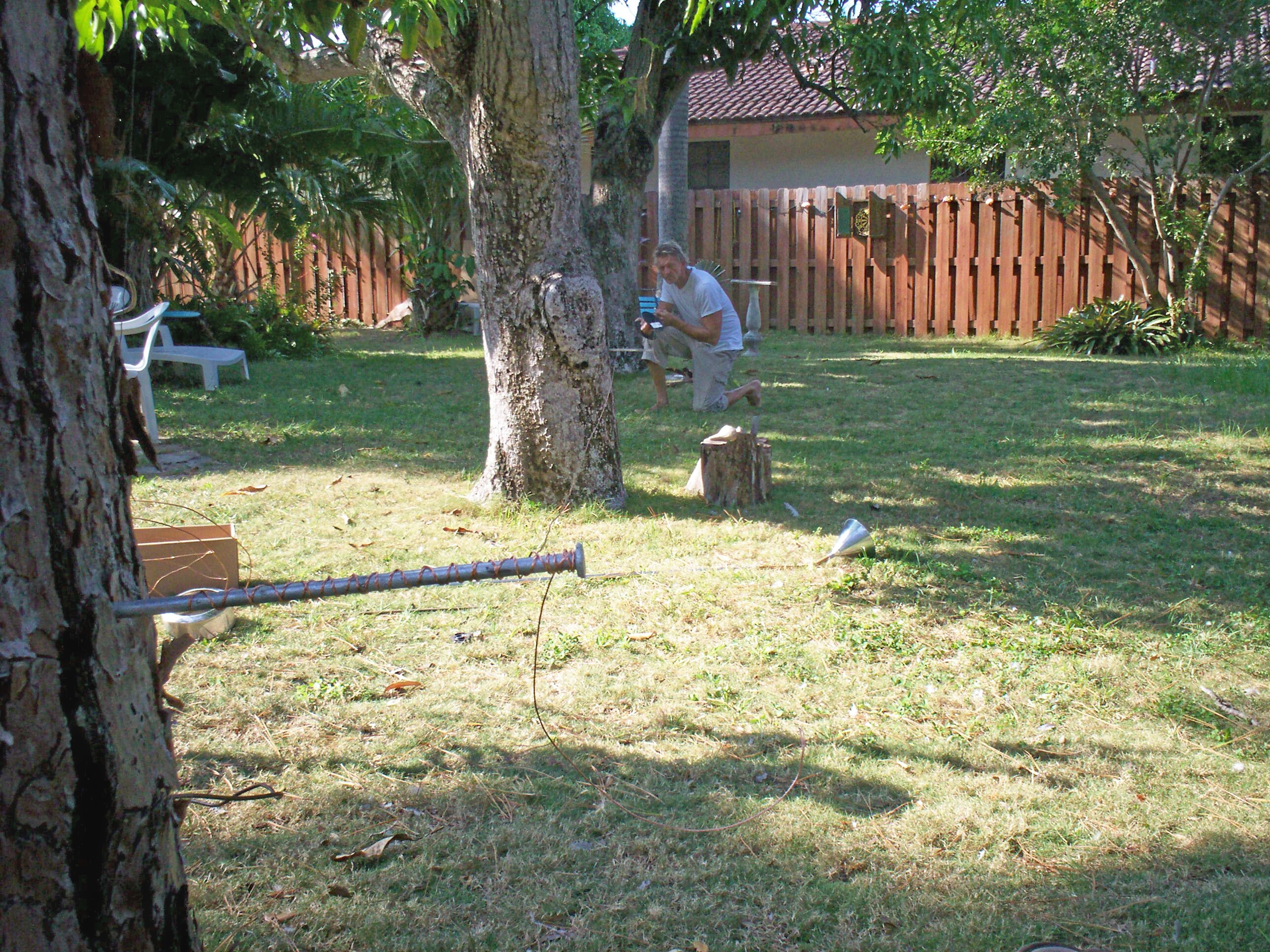 treewrap.jpg