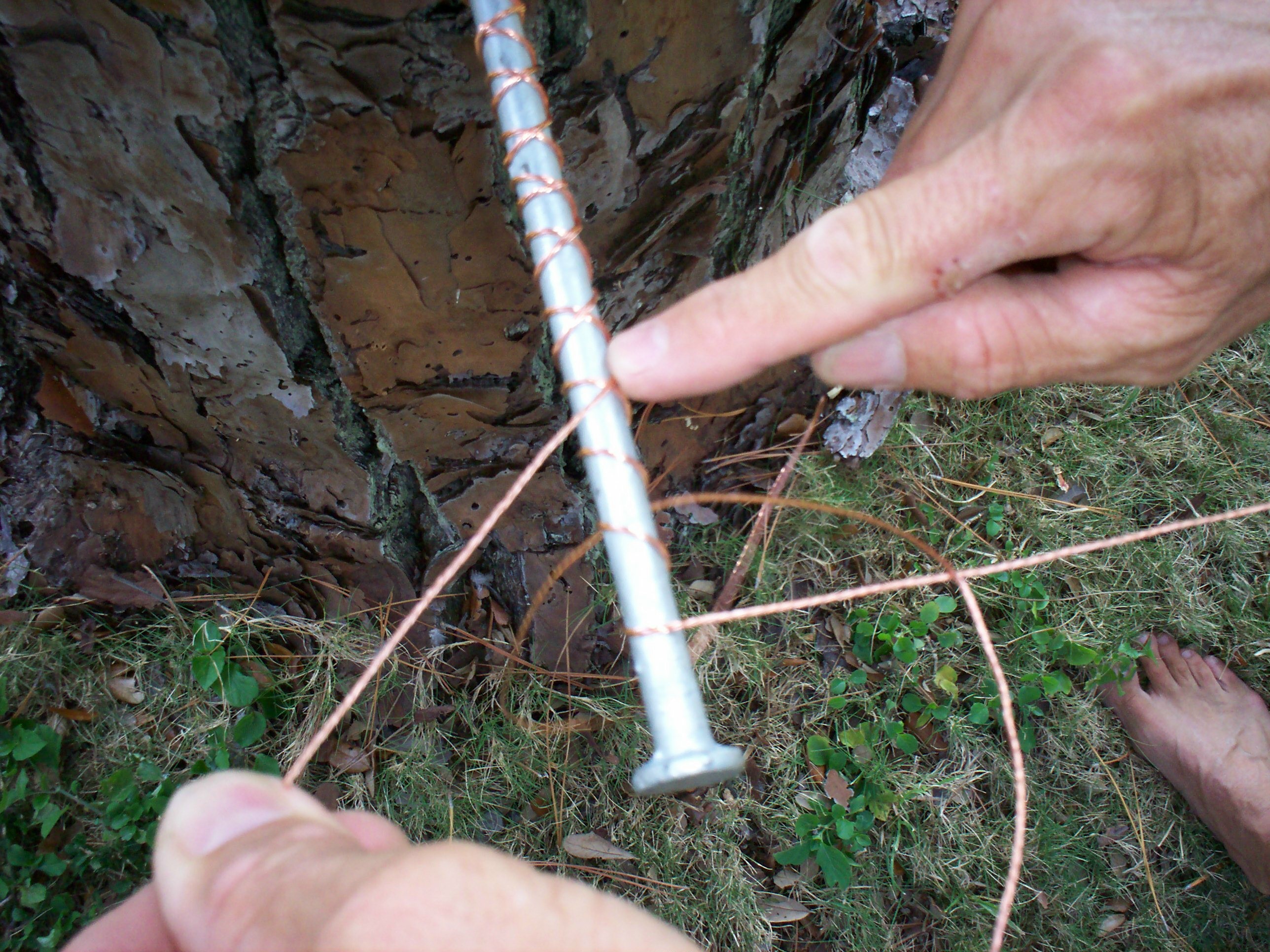 wirewrap2.jpg
